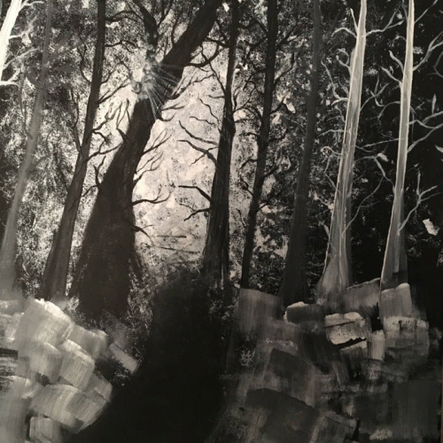 They Leapt From Burning Windows : Compilation Tracks from Fairview Fog